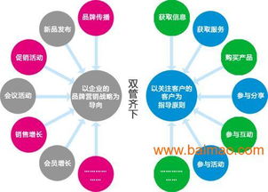 深圳電子商務外包服務 網絡推廣、三維展示與專業網站建設一體化解決方案
