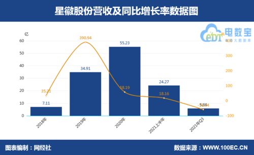 2021年三大跨境賣家業績對比 澤寶虧損超10億領跌，電子產品銷售面臨挑戰